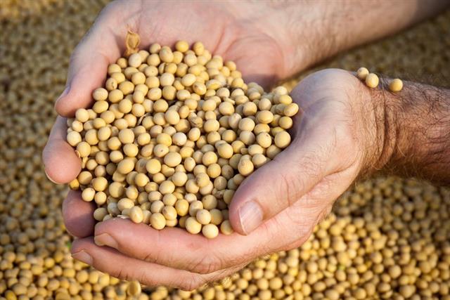 Chuyển đổi sang các nguồn thức ăn bền vững